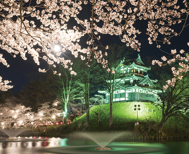 上越の観光情報 高田城址公園の夜桜の写真