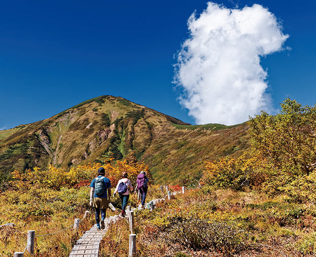 登山情報の写真